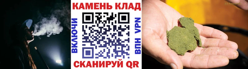 kraken tor  Александровское  ГАШ гашик 