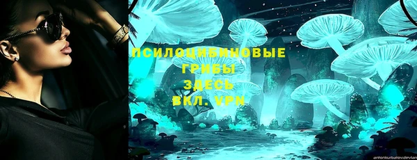 2c-b Богородицк