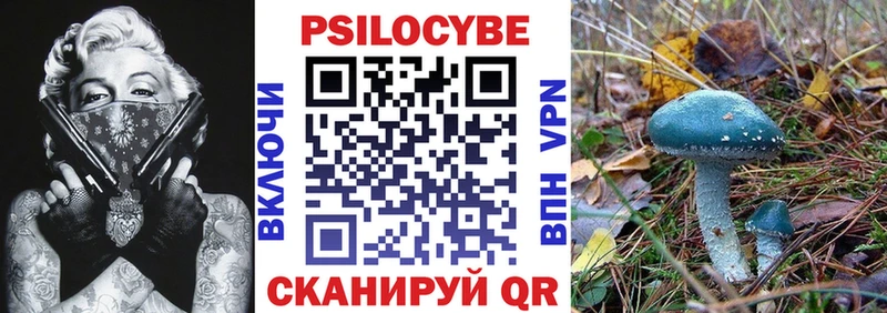 где купить Александровское Галлюциногенные грибы ЛСД