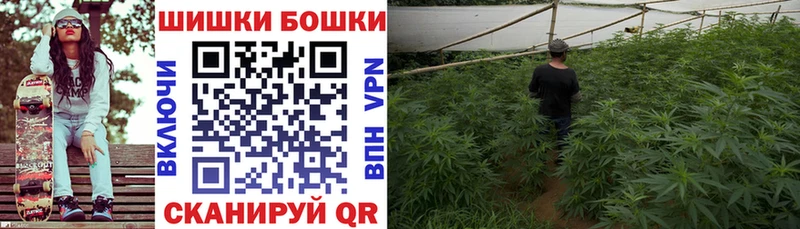 Канабис MAZAR  Александровское 